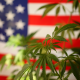 Let Freedom Fly with Hemp:                      Industrial Uses For Hemp In America